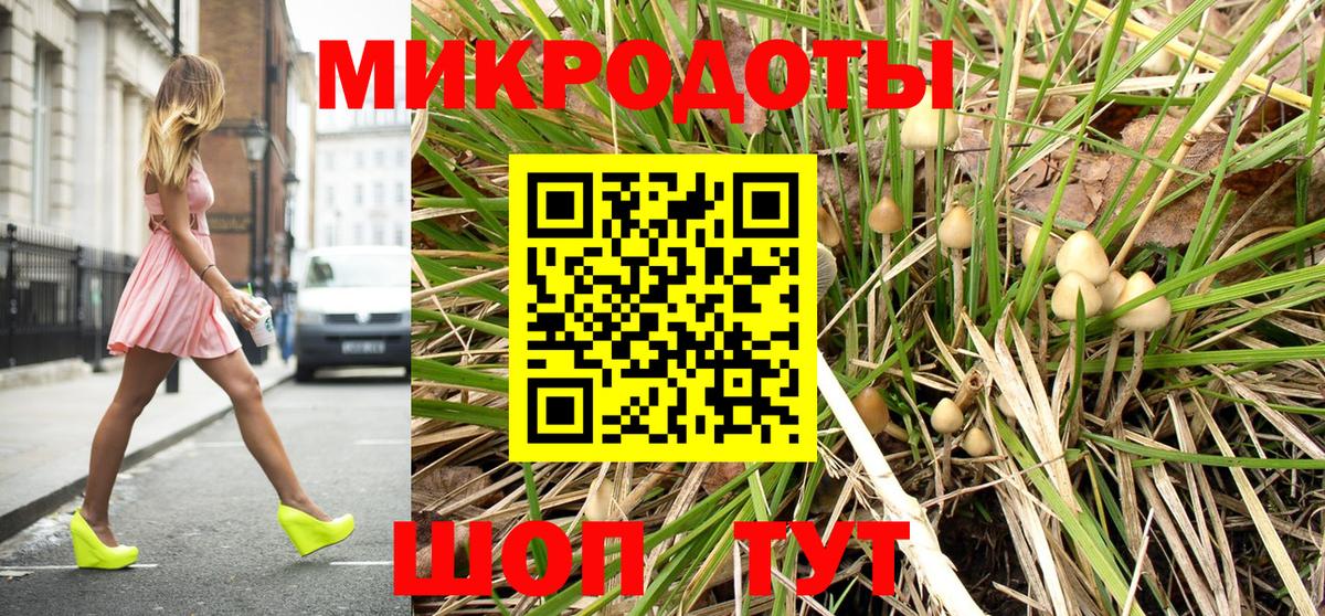 Ленинск-Кузнецкий  Псилоцибиновые грибы Psilocybe  купить наркотики сайты  Вход с VPN 